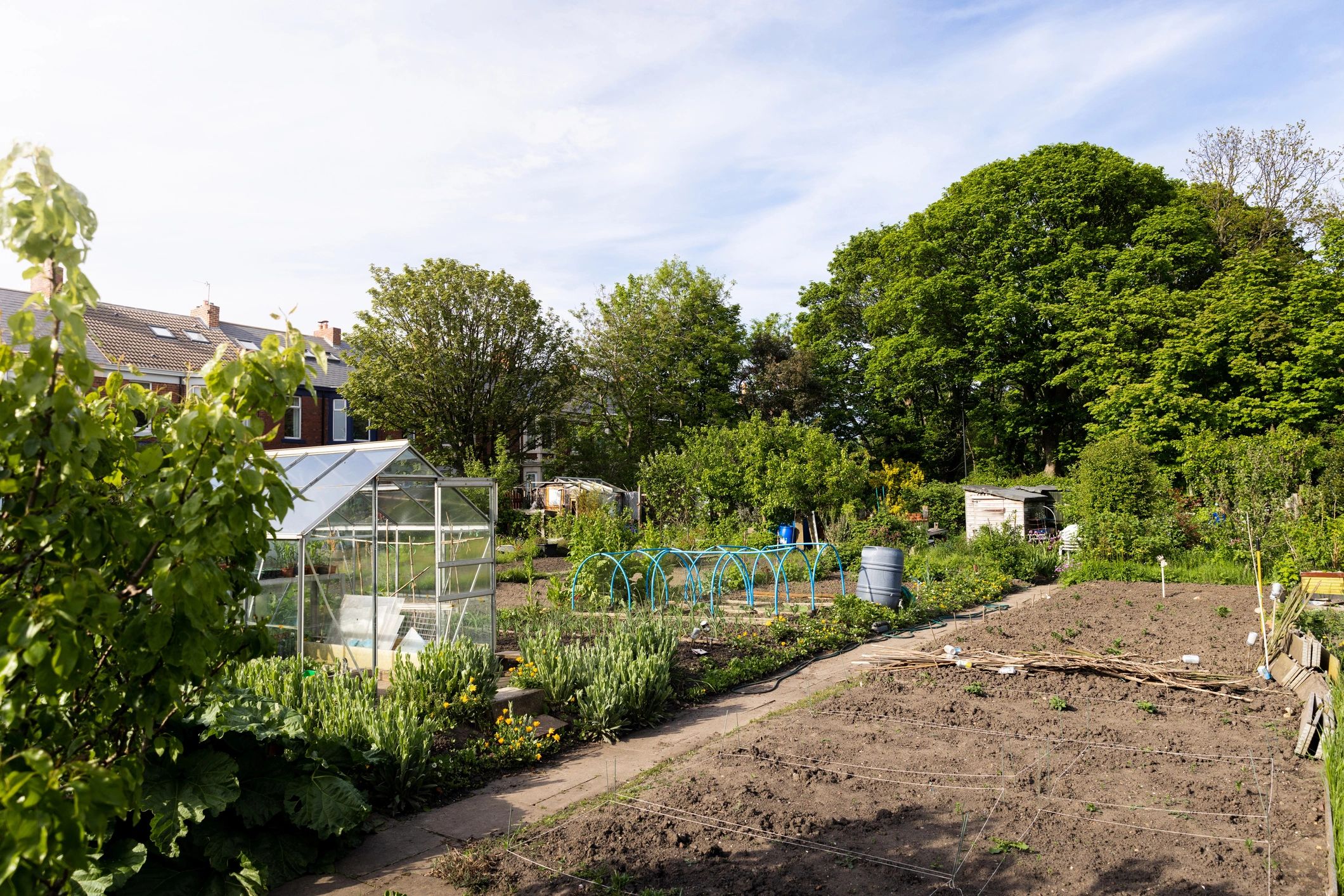 Community garden with growing beds and greenhouse
